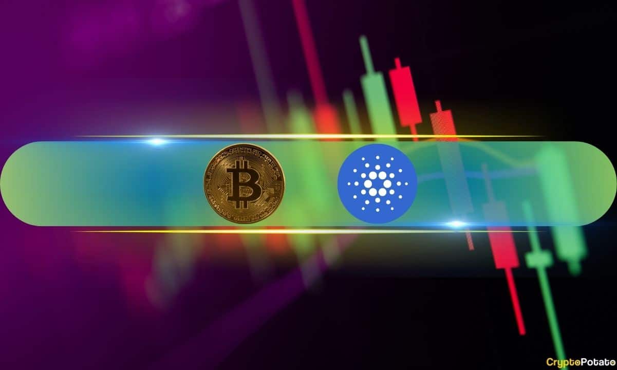 ADA and LINK Shine Bright as BTC Eyes K (Market Watch)